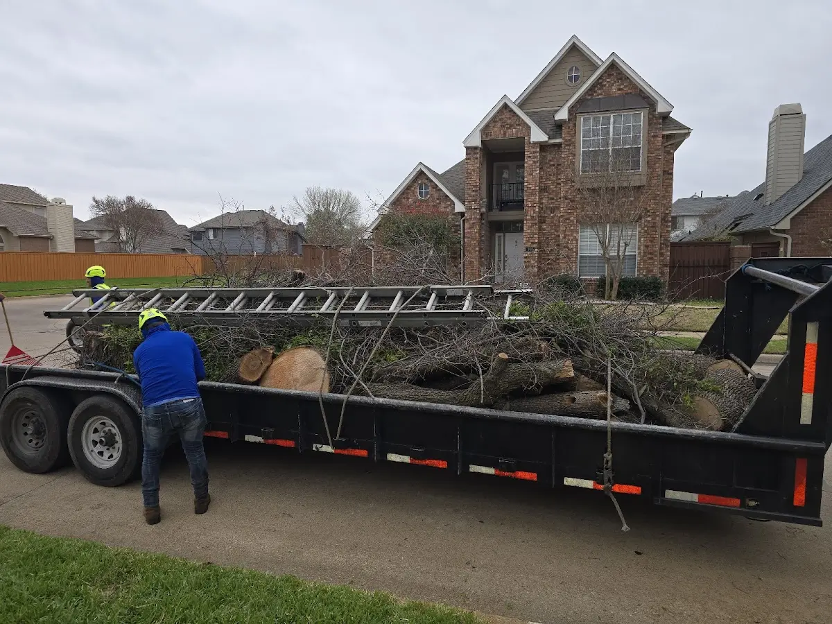 Expert Tree Fertilization with proper safety equipment in Kealakekua